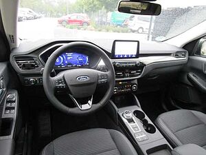 Ford  2.0 EcoBlue EU6d Titanium X Leder LED Navi Keyless Kurvenlicht e-Sitze HUD ACC P